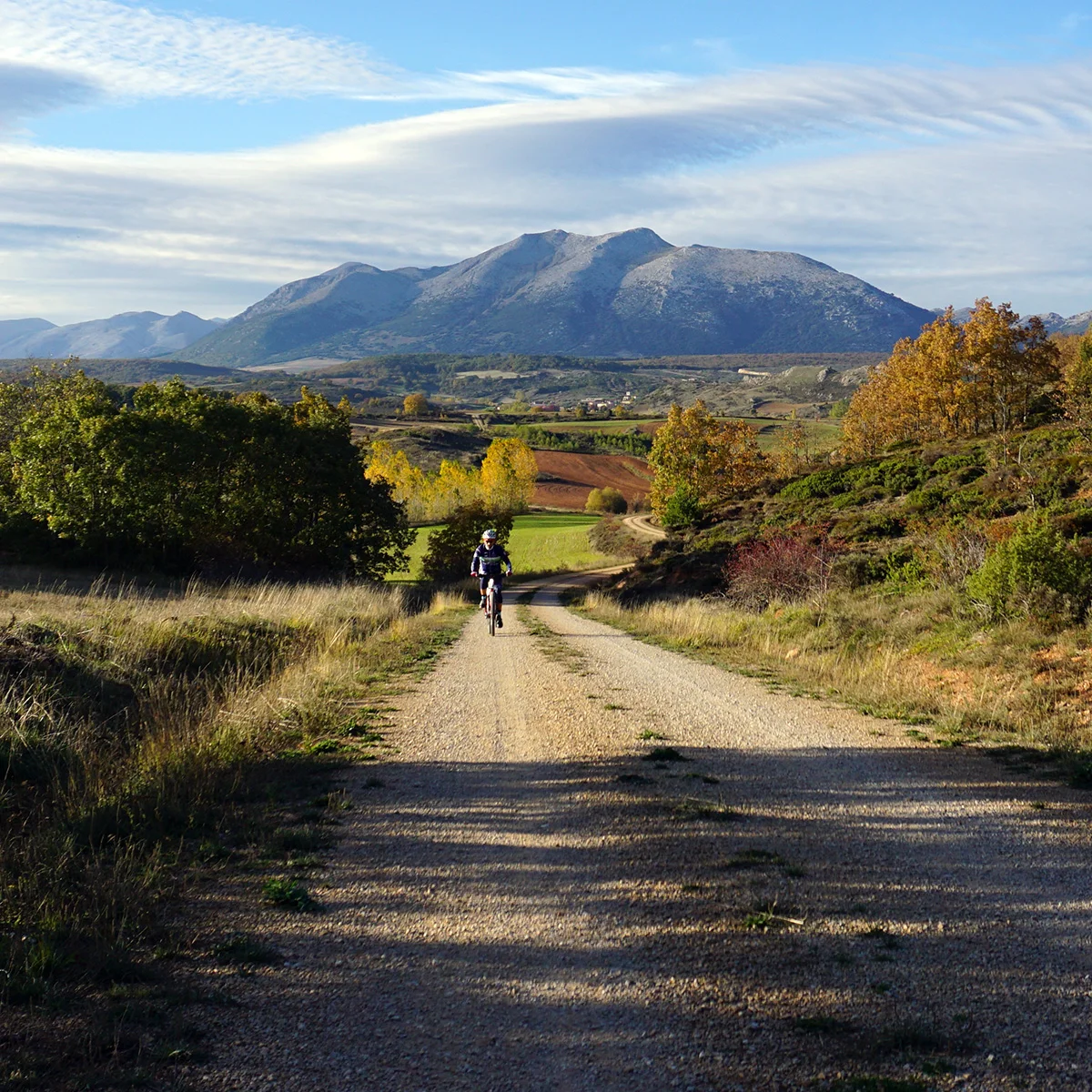 dehesa de montejo